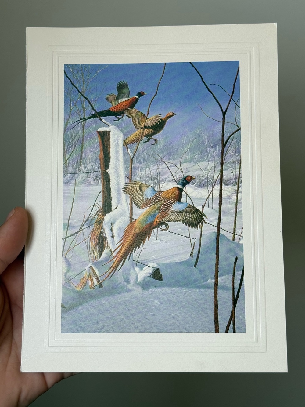 Misty Morning Revisited Pheasant Birds by David Maass Fine Art Photography Card